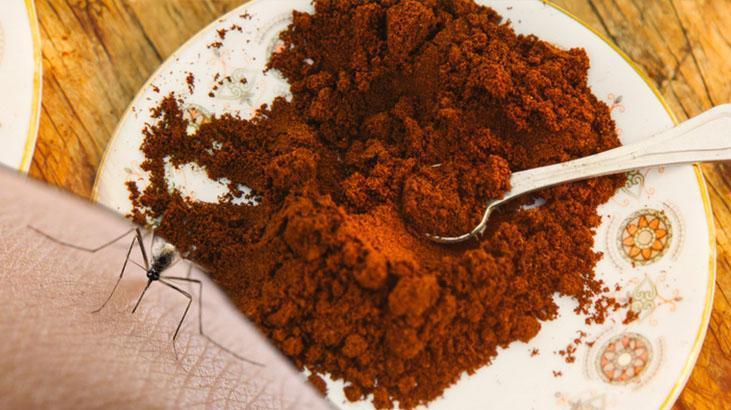 Sivri sinek istilasından koruyan tek karışım! İçine kahve ekleyin, anında kaçışıyorlar